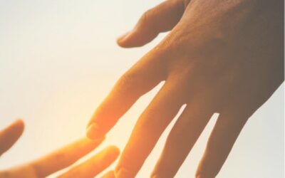 I.T.N. a Vicenza il 22 e 23 novembre